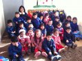 Proyecto de innovación curricular en Jardín Infantil 