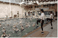 Firma convenio con Piscina Fiscal de Punta Arenas