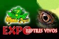 Mundo Reptiles: la exposición mas grande de reptiles del país