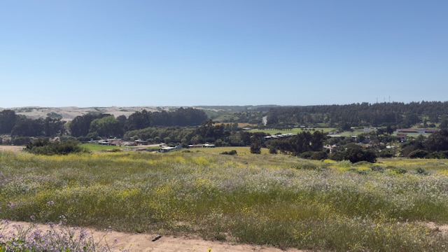 Imagen foto_00000005